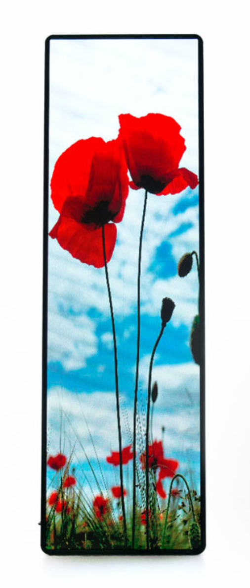 Digital Skilt DS 2.5